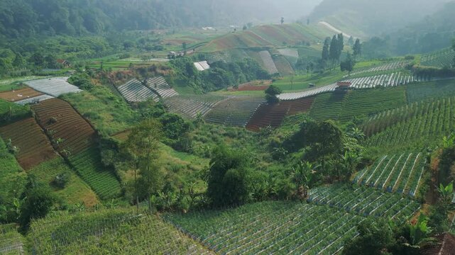 Aerial view of lush terraced agricultural fields and rolling hills under a misty sky in Sukabumi, West Java, Indonesia.