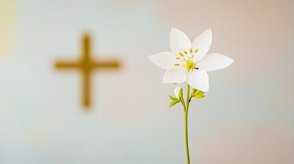 Obraz premium brace. Single delicate white flower supported by subtle metallic brace, soft lighting. gardening catalogs, home-decor guides, designed for gardening and botanical catalogs.