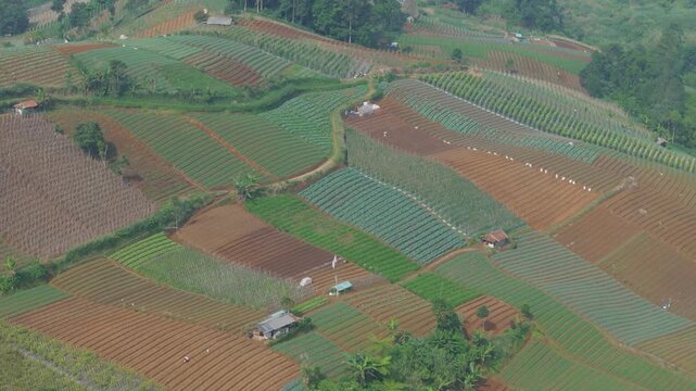 Aerial view of terraced agricultural fields with various crops and small farm structures on the hillsides of Sukabumi, West Java, Indonesia.
