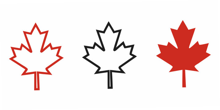 Maple Leaf Silhouettes In Red And Black Flat Vector Illustration