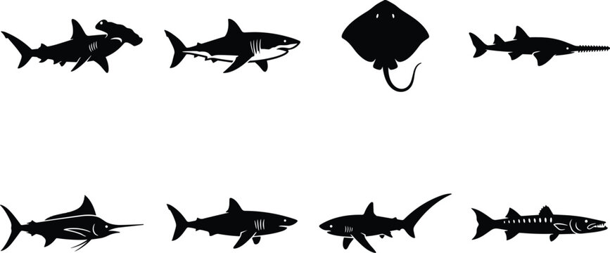 Collection of shark and marine predator silhouettes including hammerhead stingray swordfish and barracuda vector icons
