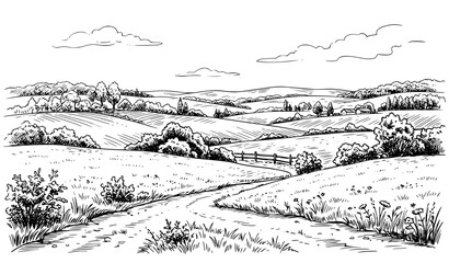 Green Grass Hills Meadow Rural Landscape Sketch Vector Illustration © MD