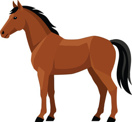 Fototapeta premium Brown Horse Standing Still Isolated on White Background, Side View