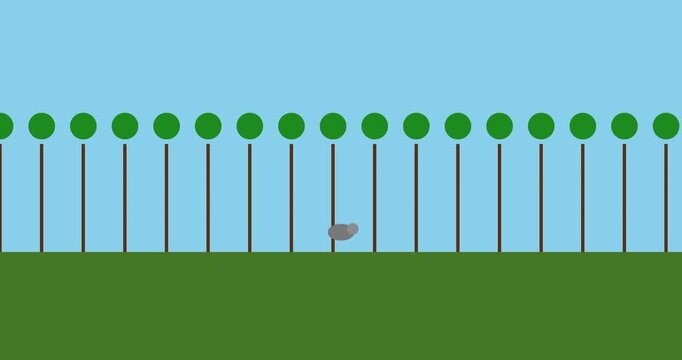 green grass and fence