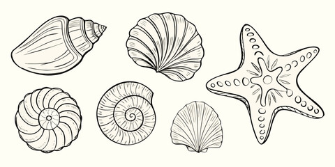 Seashells And Starfish Black And White Sketch Illustration © Minati