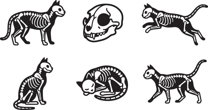 Set of cat skeleton icons showing different poses and a skull in a simple black and white line art illustration style Vector
