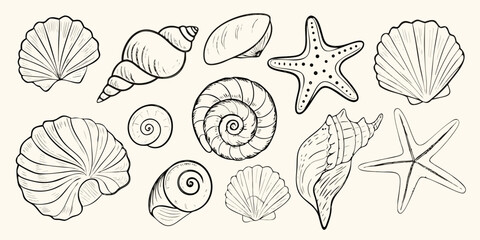 Seashells And Starfish Black And White Sketch Illustration © Promit