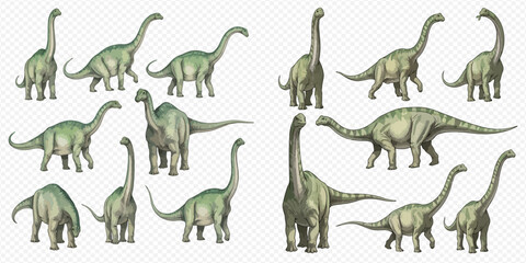 Set of various long-necked dinosaurs, including Brachiosaurus and Apatosaurus, in different poses, isolated on a transparent background. © Ytaja