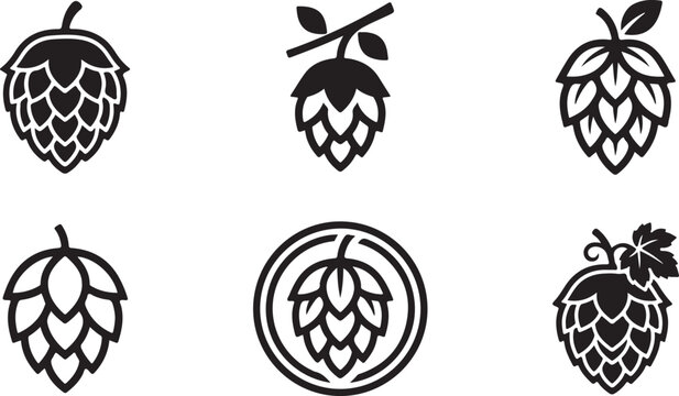 Set of black and white beer hops icons and symbols for craft beer brewery branding and natural ingredient design elements Vector