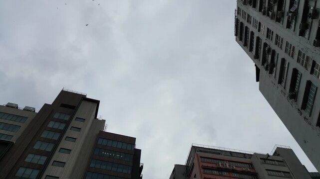 Industrial Hub of Wong Chuk Hang Nov 16 2024