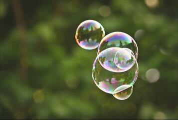 Naklejka premium Iridescent soap bubbles floating in the air against blurred green background