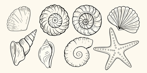 Collection Of Seashells And Starfish Black And White Sketch Illustration © Laki