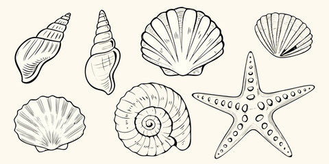Seashells And Starfish Black And White Vector Illustration © Laki