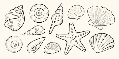 Seashells And Starfish Line Art Illustration Black And White Sketch © Sarojit