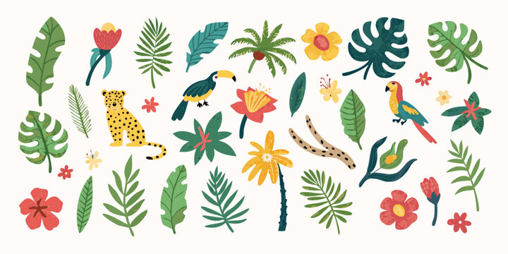 Tropical flora and fauna illustration with flowers leaves and birds