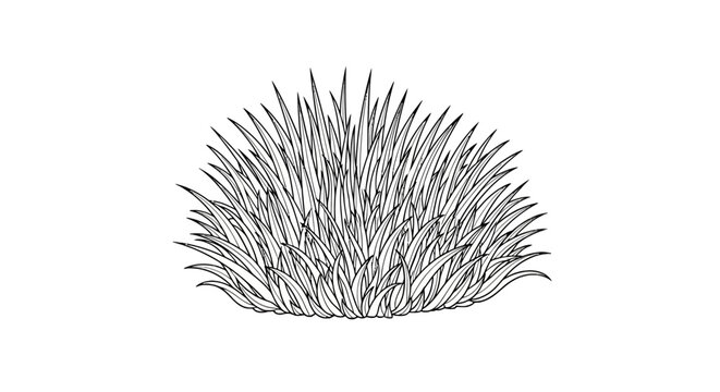 Detailed illustration of a porcupine quill.