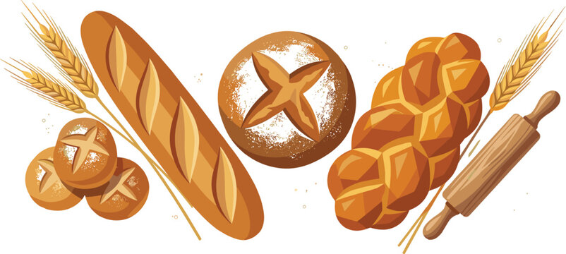 Artisan bakery bread collection featuring baguette, braided loaf, rustic buns, wheat ears, and baking tools vector illustration