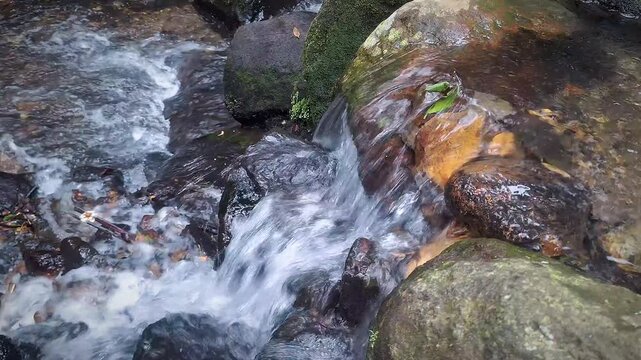 Beautiful nature b-roll of a fresh water river stream splashing over pebbles and green moss.