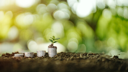 Carbon Credit Growth and Green Economy Concept with Seedling and Coin Stacks © อภิสิทธิ์ ปักเหนือ