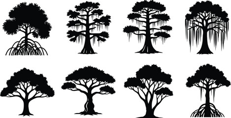 Collection of swamp tree silhouettes including mangrove banyan and cypress species isolated on white background © Shahidul