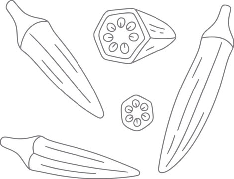Simple line of okra pods and slices