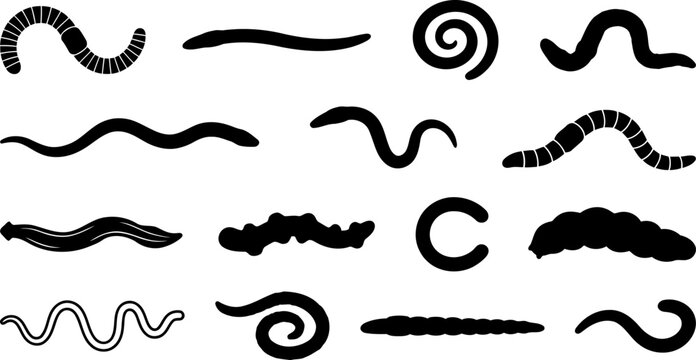 Set of worm silhouettes