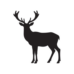 Fototapeta premium Beautiful noble proud sika deer are ruminant mammal in family Cervidae.