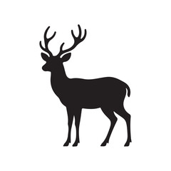 Fototapeta premium Beautiful noble proud sika deer are ruminant mammal in family Cervidae.