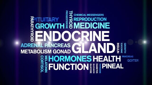 Endocrine Gland animated word cloud-animation tag kinetic typography seamless loop.