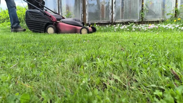 Gardener mowing the lawn. Landscape design. Green grass background	
