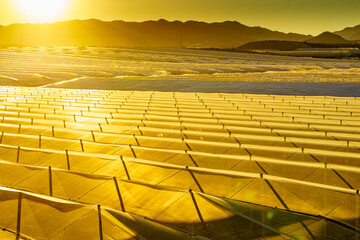 Fototapeta premium Greenhouses stretch over landscape as the sun rises in the background near a mountainous area