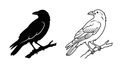 Raven Silhouette And Line Art On A Branch Black And White © Fariaislam