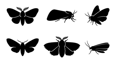 Black moth silhouette collection, set of 6 nocturnal insect vector icons, minimalist butterfly and moth shapes for nature branding and tattoo design © MD