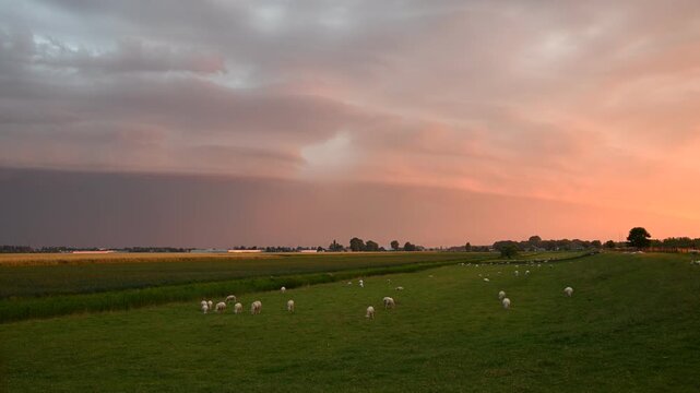 Approaching shelf cloud of a severe thunderstorm at sunset