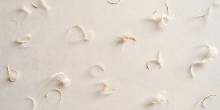 Light textured surface with numerous curled and twisted isolated on transparent background png