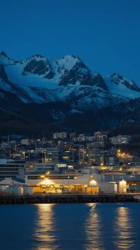 Night coastal city beneath snow covered mountain