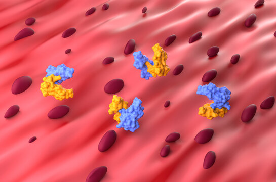Myostatin (GDF8) protein molecule in the muscle - isometric view 3d illustration