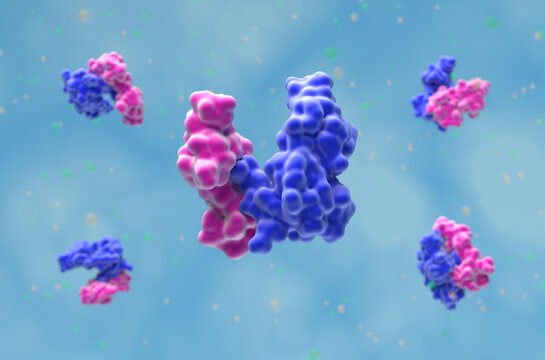 Myostatin (GDF8) protein molecule - closeup view 3d illustration