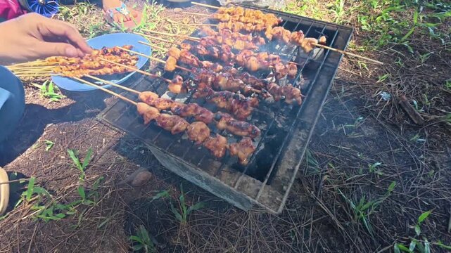 Chicken satay skewers being grilled over hot charcoal on a portable metal barbecue stand outdoors during a picnic