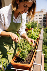 Fototapeta premium Woman Gardening Herbs on Sunny Urban Balcony