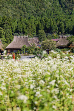日本の原風景 Images – Browse 2,521 Stock Photos, Vectors, and
