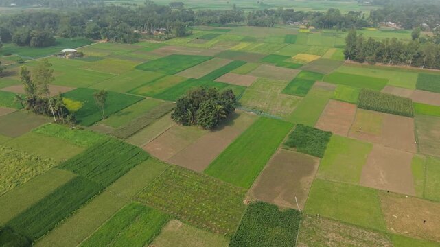 Aerial View of Patchwork Farmland Fields with Green and Brown Plots, Trees, and Rural Countryside Landscape