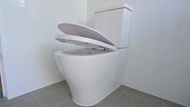 White toilet bowl with soft close seat
