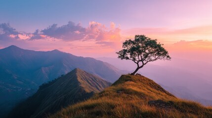 Obraz premium Lone tree on a mountain peak at sunset
