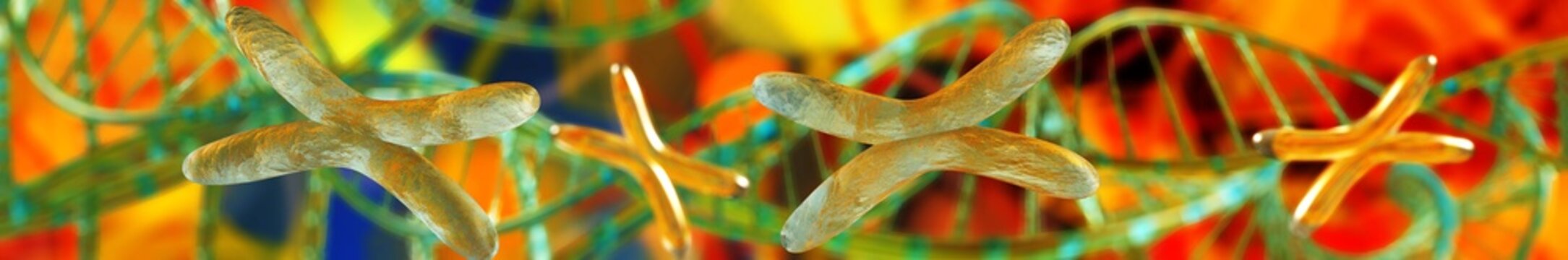X chromosome against the background of DNA. Chromosomes and DNA.
3D rendering