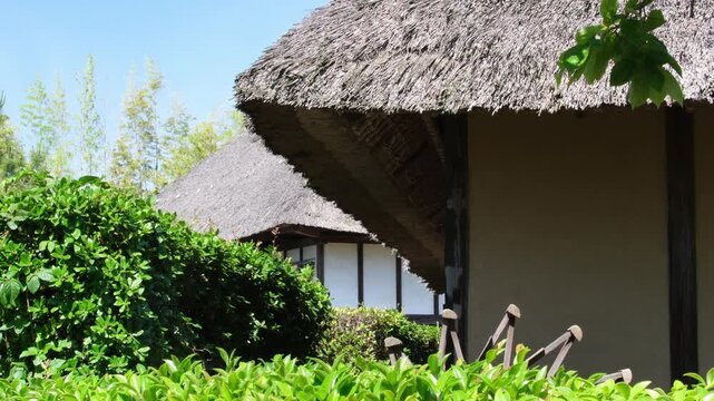 茅葺屋根と生垣