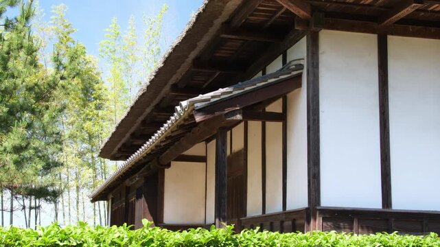竹林と茅葺屋根
