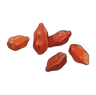 Item-style fresh goji berry illustration, elegant glossy red wolfberry fruits with juicy water drops for organic superfood branding ／ シズル感のあるゴジベリー（クコの実）のイラスト