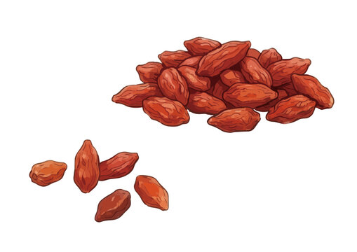 Item-style fresh goji berry illustration, elegant glossy red wolfberry fruits with juicy water drops for organic superfood branding ／ シズル感のあるゴジベリー（クコの実）のイラスト