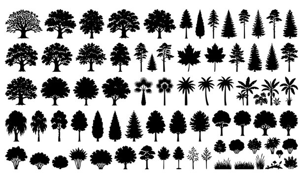 Tree silhouette collection landscape vegetation and forest vector illustrations